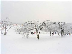 滑雪场