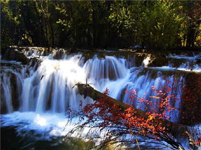 牟尼沟