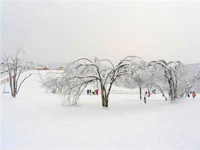 西岭雪山