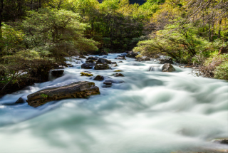 松坪沟