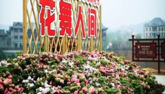 花舞人间