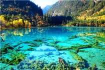 九寨沟旅游全面攻略