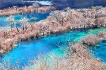 成都到九寨沟旅游团有哪些自费项目