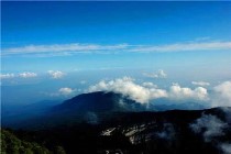 峨眉山、乐山大佛旅游团有哪些自费项目