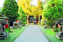 成都三日游旅游攻略-乐山大佛、黄龙溪古镇、都江堰、熊猫基地