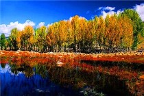 成都出发到稻城亚丁旅游交通示意图