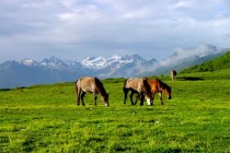 走进四姑娘山 这里还有你不知道的人间秘境